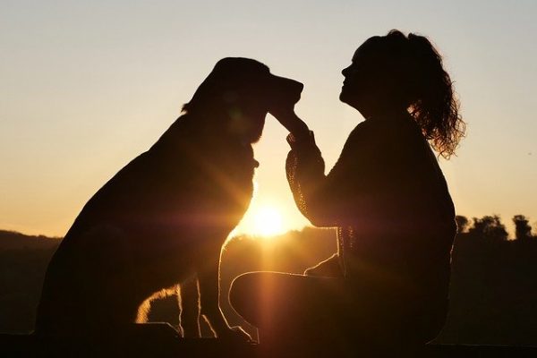 dog-4494554_640-600x400