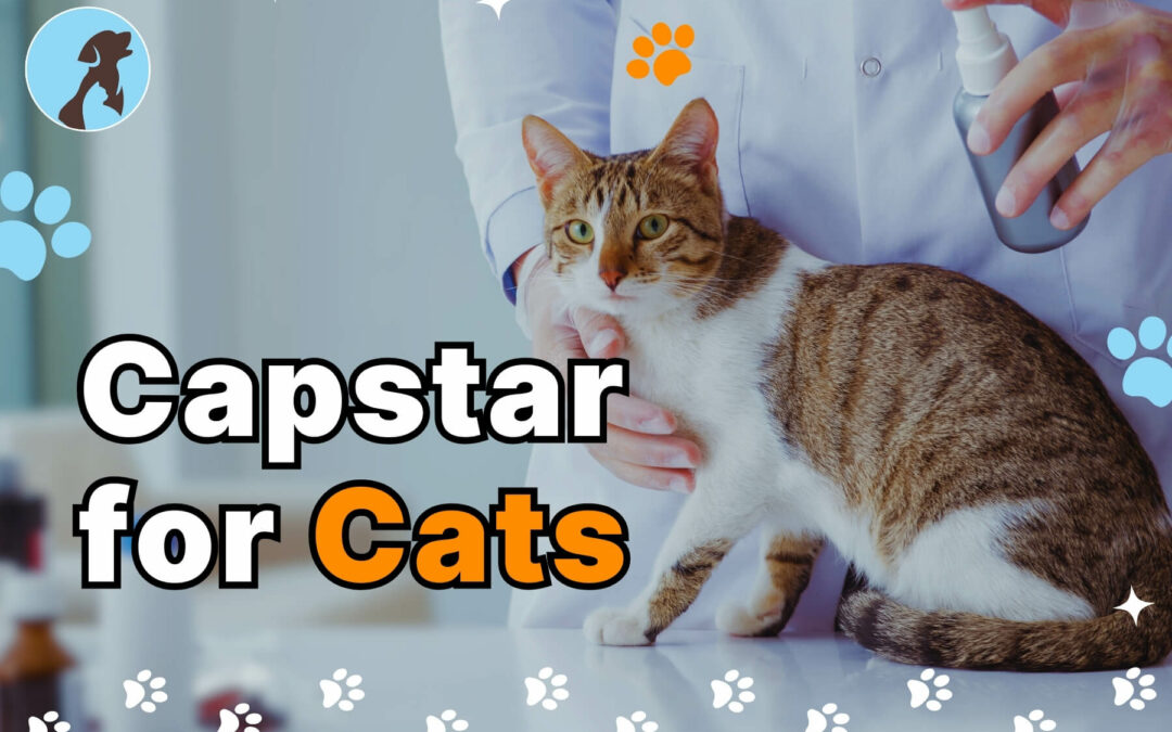 Capstar for CATS