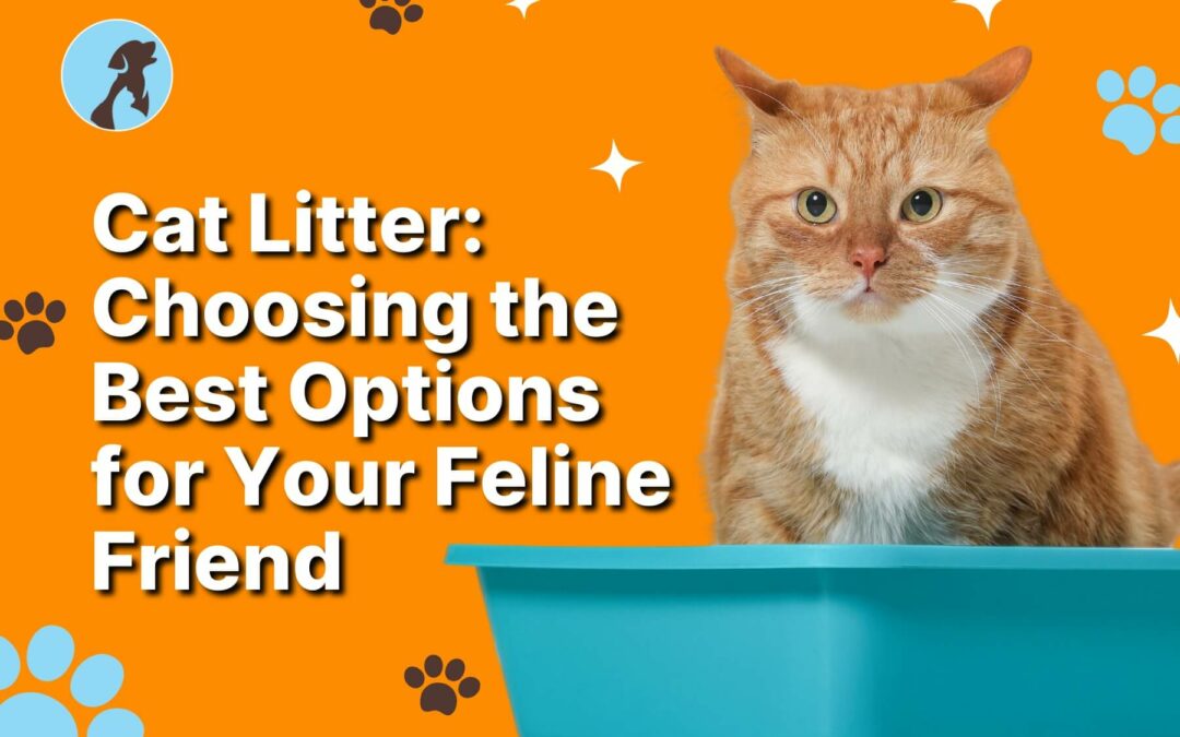 Cat Litter