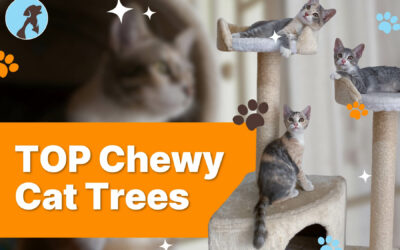 Top 17 Chewy Cat Trees