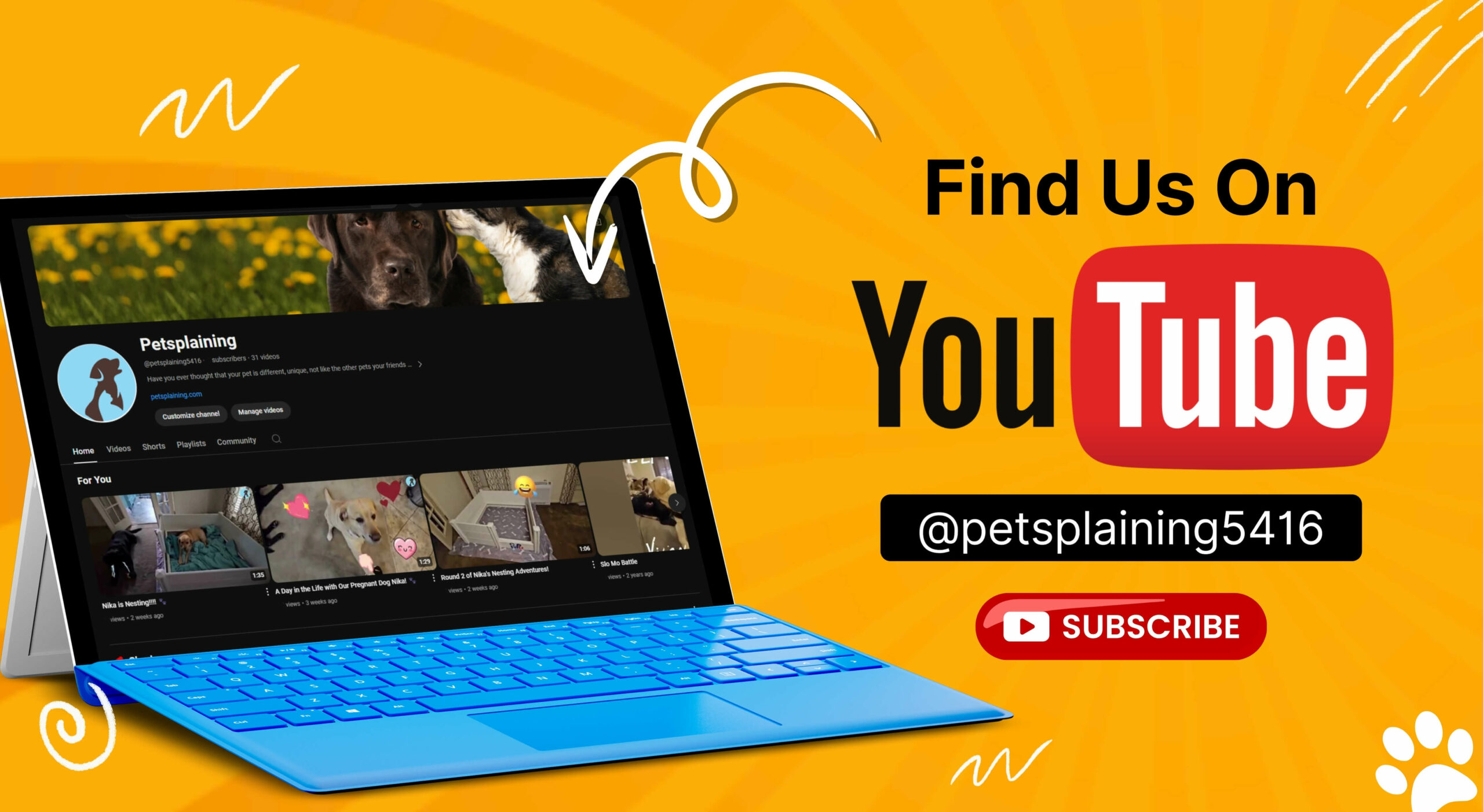 petsplaining youtube banner