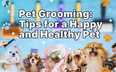 Pet Grooming: Tips for a Happy and Healthy Pet