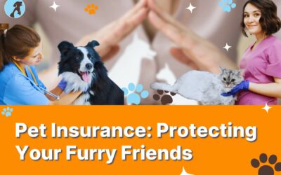 Pet Insurance: Protecting Your Furry Friends – The Ultimate Guide