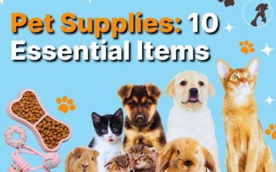 Pet Supplies: 10 Essential Items Every Pet Owner Needs