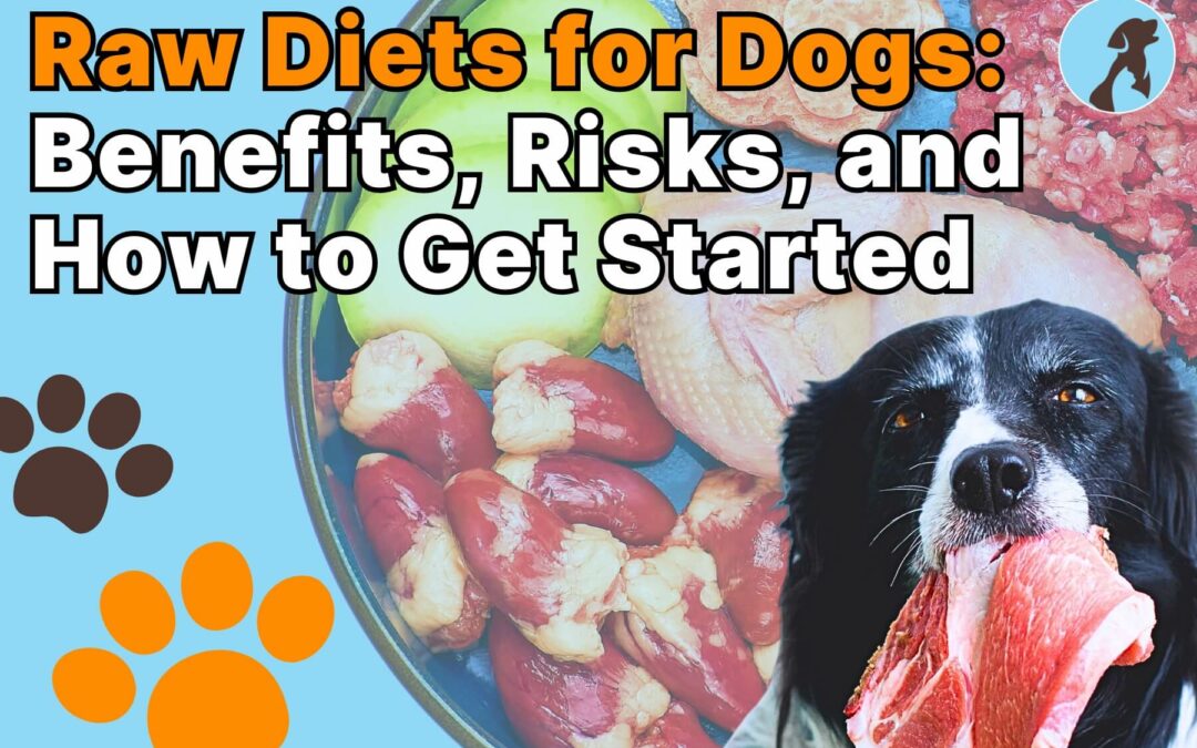 Raw Diets for Dogs: Benefits, Risks, and How to Get Started