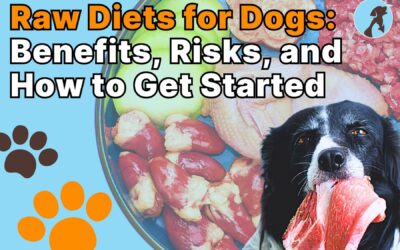 Raw Diets for Dogs: Benefits, Risks, and How to Get Started