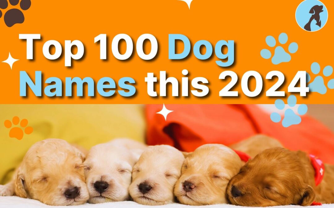 Top 100 Dog Names this 2024