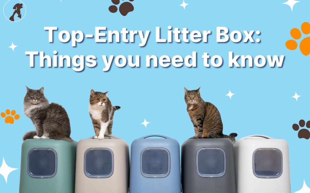 Top-Entry-Litter-Box