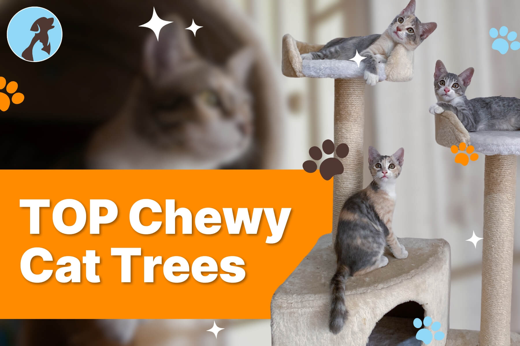 A collection of top-rated chewy cat trees showcasing various designs and colors for feline comfort and play.