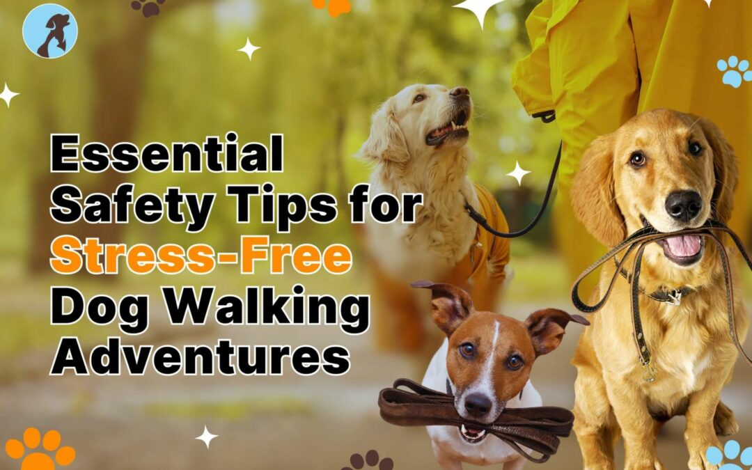 essential dog walking