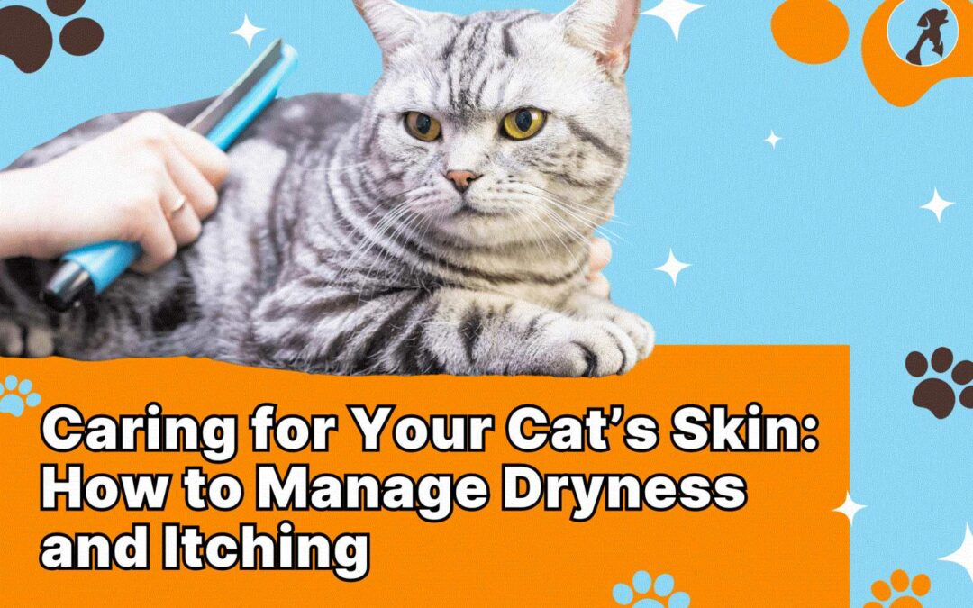 Caring for your Cat's Skin