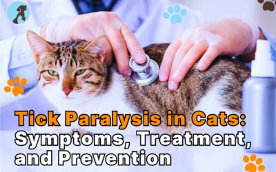 Tick Paralysis in Cats: Symptoms, Treatment, and Prevention