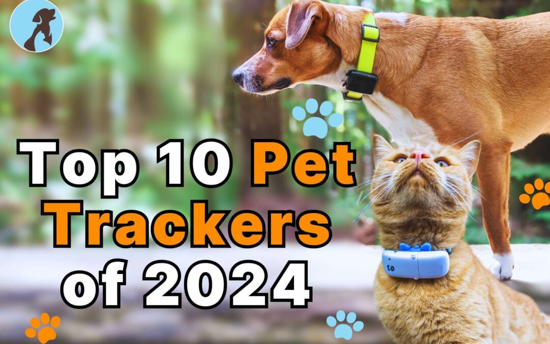 Top 10 Pet Trackers of 2024