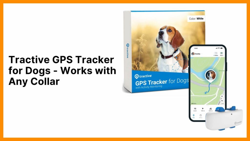 tractive for dogs 5